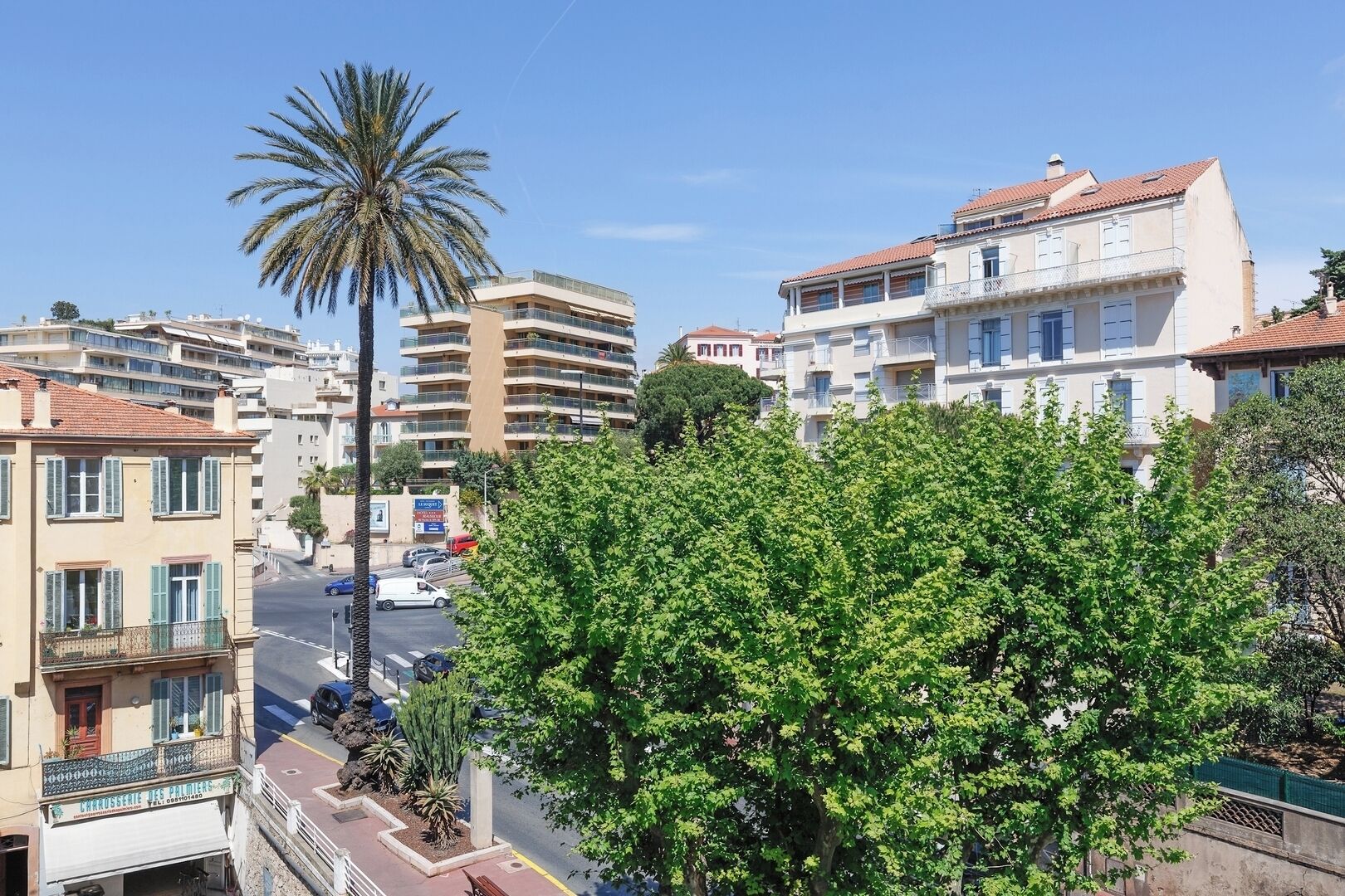 Una zona urbana costera con edificios de varios pisos, una palmera y una calle con vehículos.