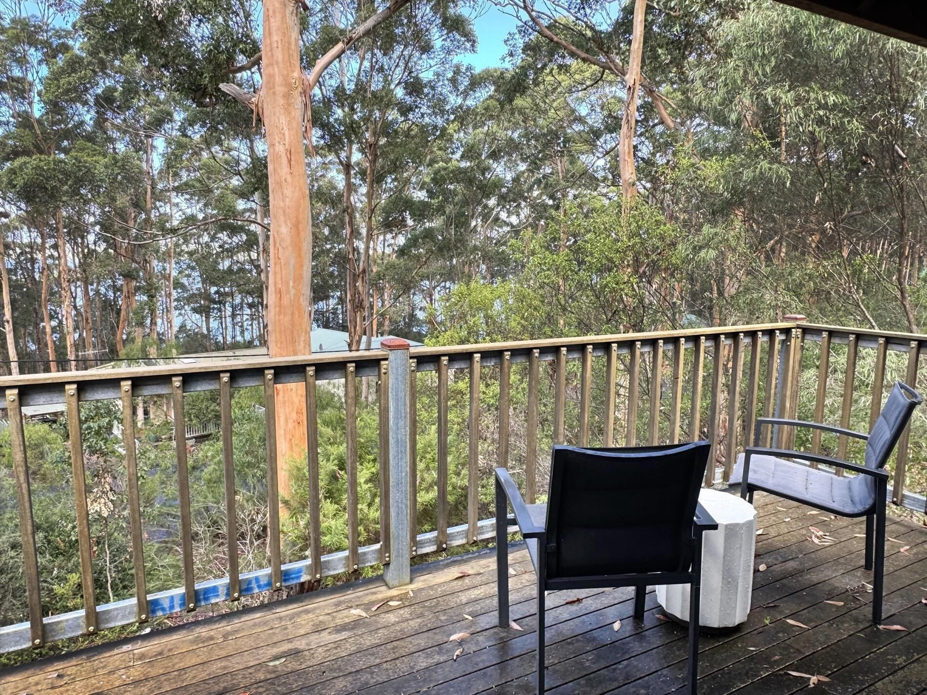 The upstairs lounge room deck: inlet glimpses through the trees and enjoy the birdlife.