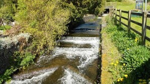 Un pequeño arroyo que fluye por un canal de piedra con una valla de madera a un lado.