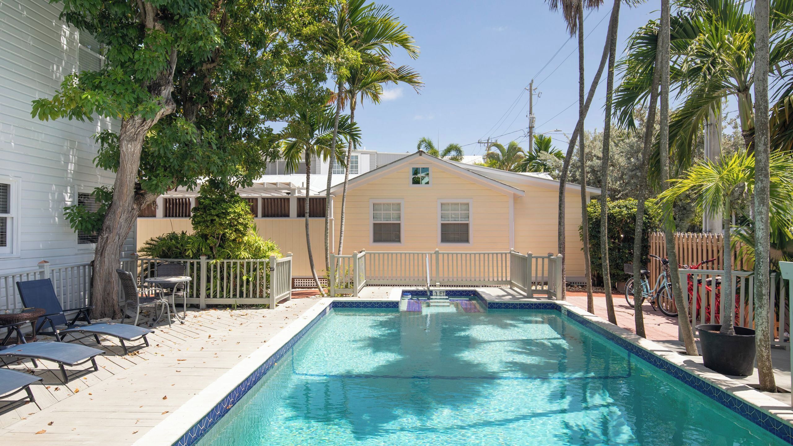 A swimming pool with a deck, surrounded by palm trees and a house.