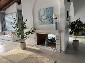 Ein Wohnzimmer mit Kamin, einer Couch, einer Topfpflanze und einem Bild an der Wand.