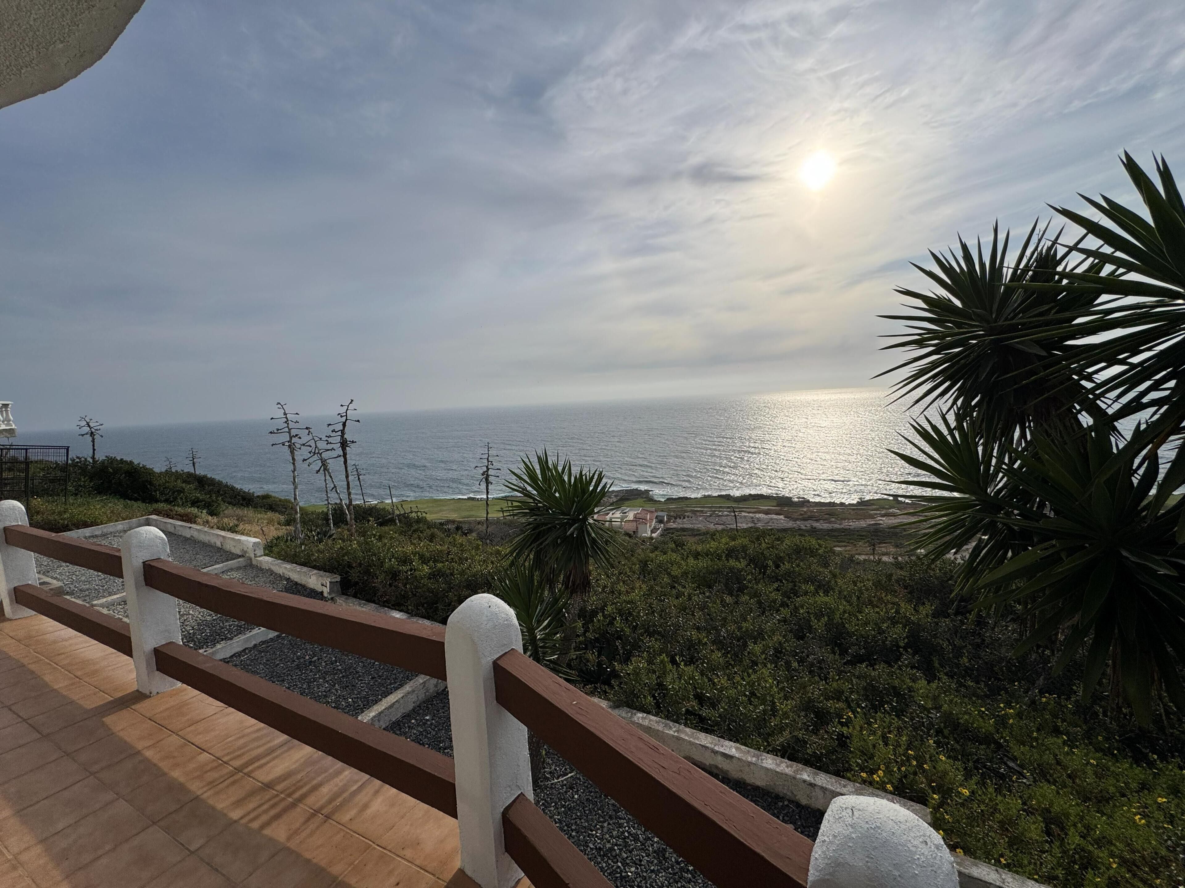 A coastal walkway with a view of the sea, a wooden fence, and some greenery.