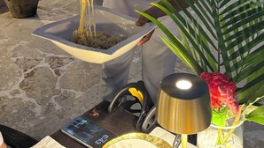 A person serving noodles from a white bowl, a smartphone on a table, and a decorative plant. - Casa Delmar: Private Beachfront Estate with Chef, 2 Butlers ,Staff & Ocean Views (La Romana)