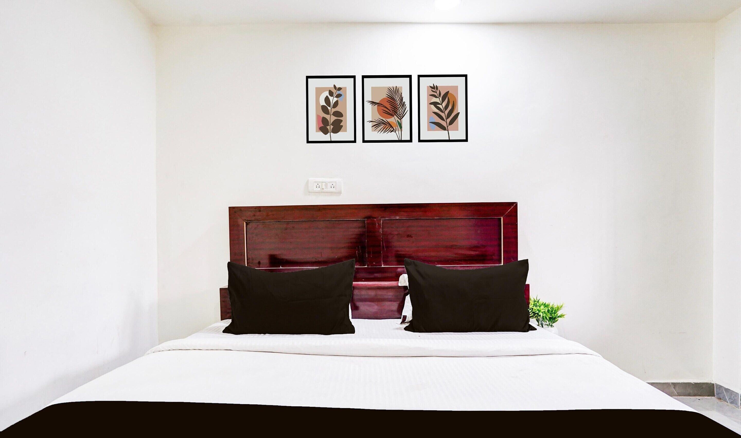 Un dormitorio con cabecera de madera, colcha blanca, dos almohadas negras y tres cuadros con motivos de hojas en la pared.