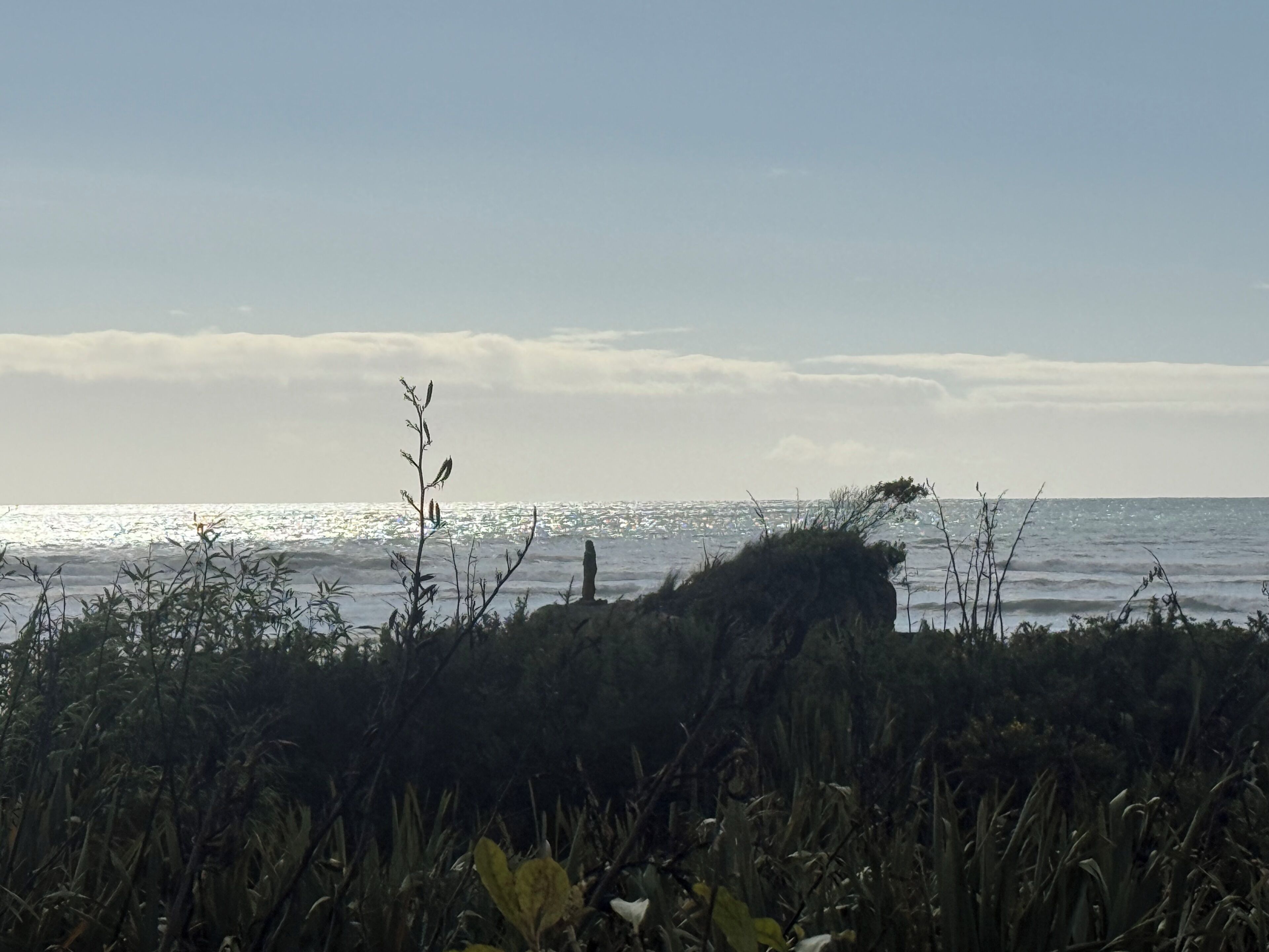 A coastal landscape with vegetation in the foreground and a view of the ocean.
