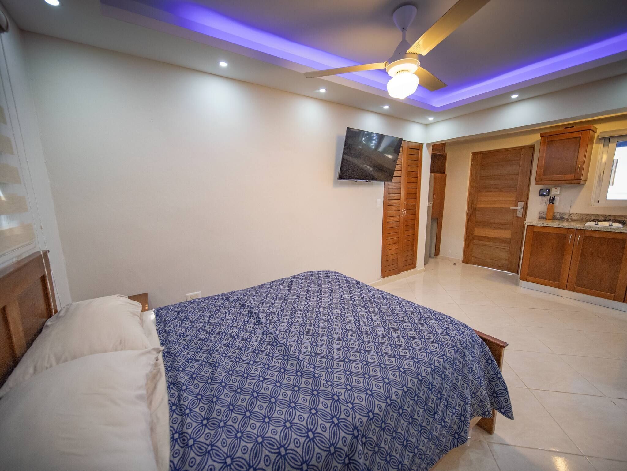 A bedroom with a bed, a ceiling fan, a TV, wooden cabinets, and a kitchenette.