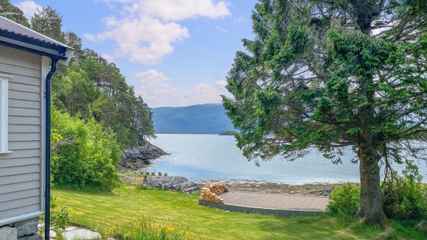 Una proprietà sul lago con una casa, un molo e un grande albero.