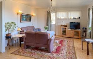 A living room with a sofa, a television, a chandelier, and a patterned rug.