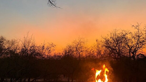 A fire pit with flames, surrounded by trees and a sunset sky. - Ingonyama Rest (Marloth Park)