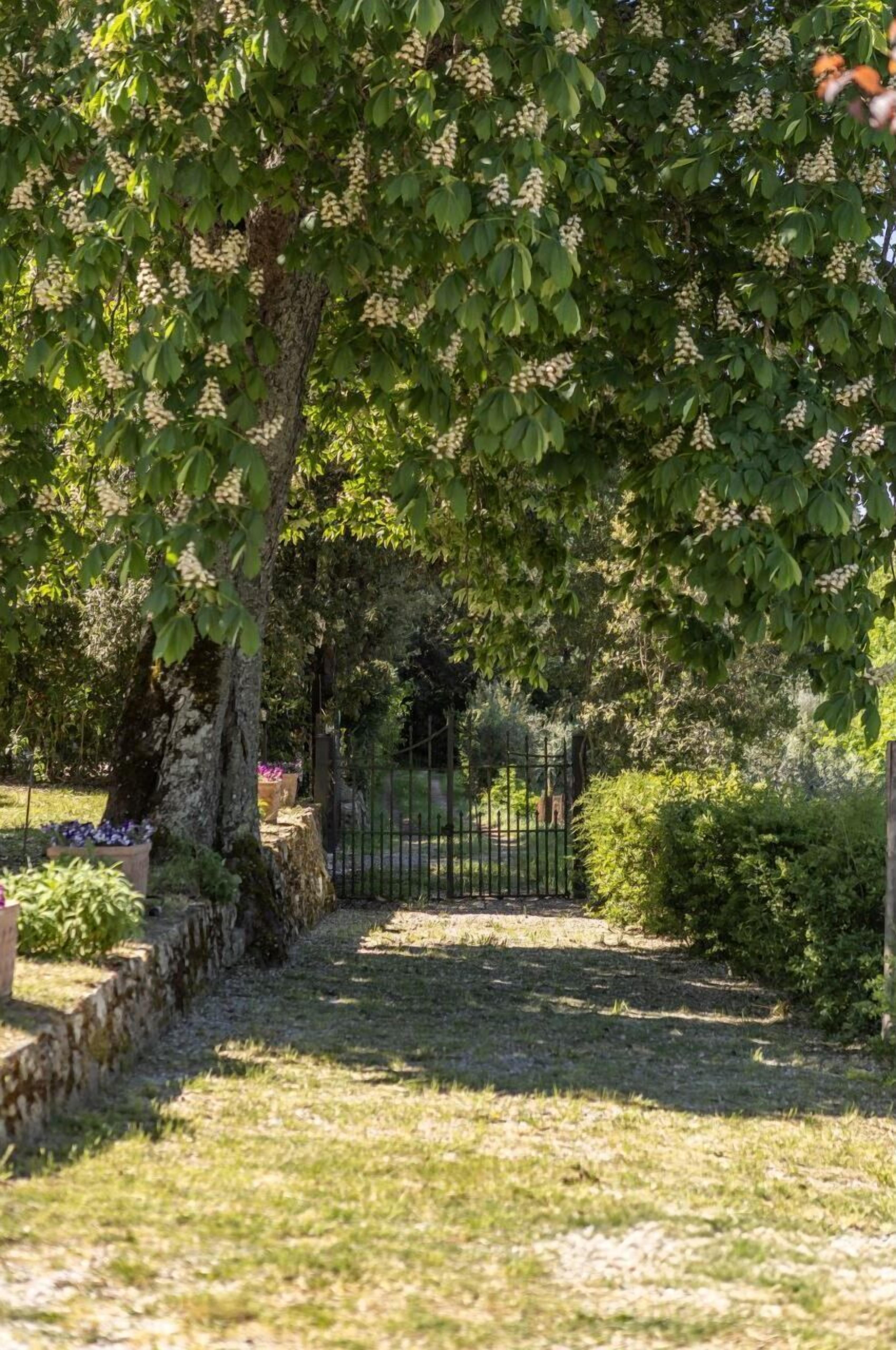 Parco della struttura