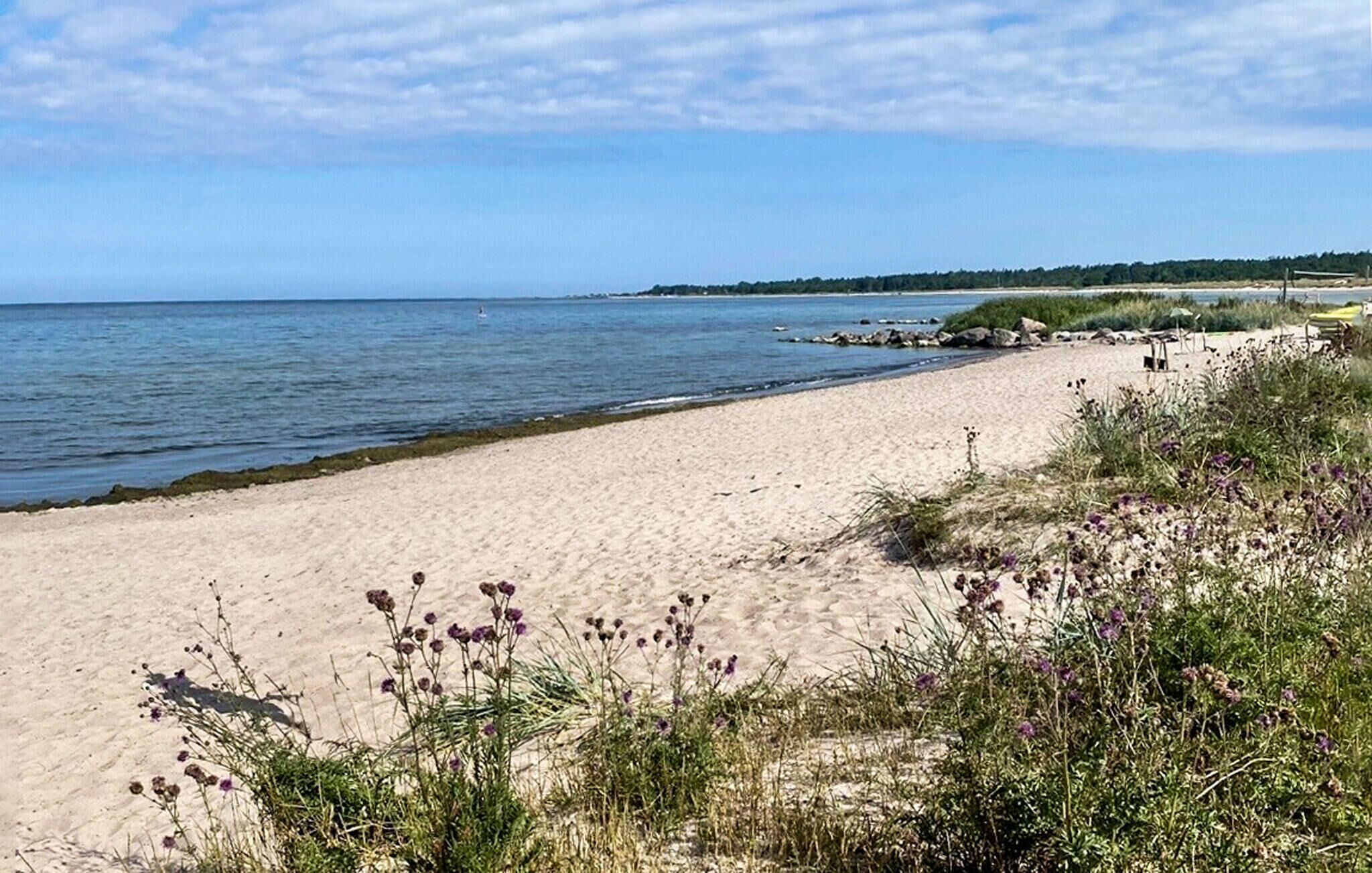 A beach with sand, water, and sparse vegetation.