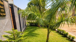 Ein gepflegter Garten mit einer Palme, Farne und einem ordentlich geschnittenen Rasen.