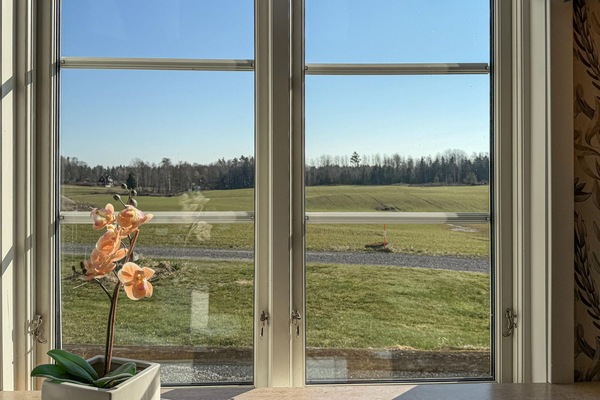 view-from-room