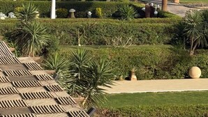 Ein angelegter Garten mit Palmen, einem Pool und einem Pavillon.