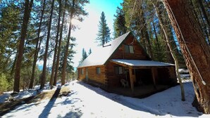 Een chalet met een veranda, omringd door hoge dennen en sneeuw.