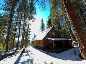 Exterior - The Perfect Cozy Cabin of Elo Road! (McCall)