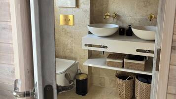 Shower, hair dryer, bidet, towels