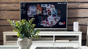 A Go3 TV on a white stand with a glass table in front, a white vase with green plants, and a wooden wall in the background. - Klaukse in Kolga-Aabla: Only 40 min. from Tallinn, sandy beach in 10 min. on foot. (Kolga-Aabla)