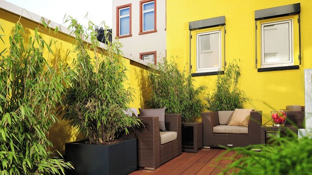 A wooden deck with outdoor furniture, potted plants, and a yellow wall. - GuestHouse Mainz (Mainz)