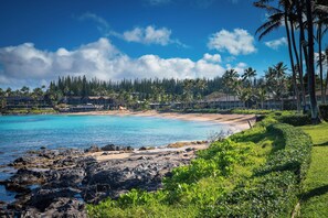 Sun loungers, beach towels - Maui Magic at Napili Bay, Spacious One-Bedroom Condo w/ AC in Oceanfront Complex (Lahaina)