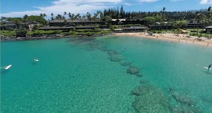 Maui Magic at Napili Bay, Spacious One-Bedroom Condo w/ AC in Oceanfront Complex