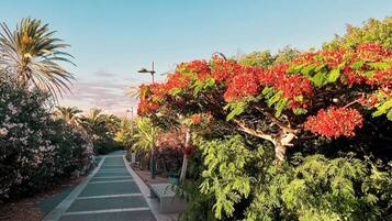 House, 2 Bedrooms, Accessible, Smoking | Garden