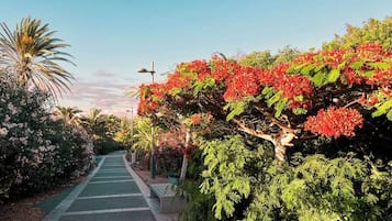 House, 2 Bedrooms, Accessible, Smoking | Garden