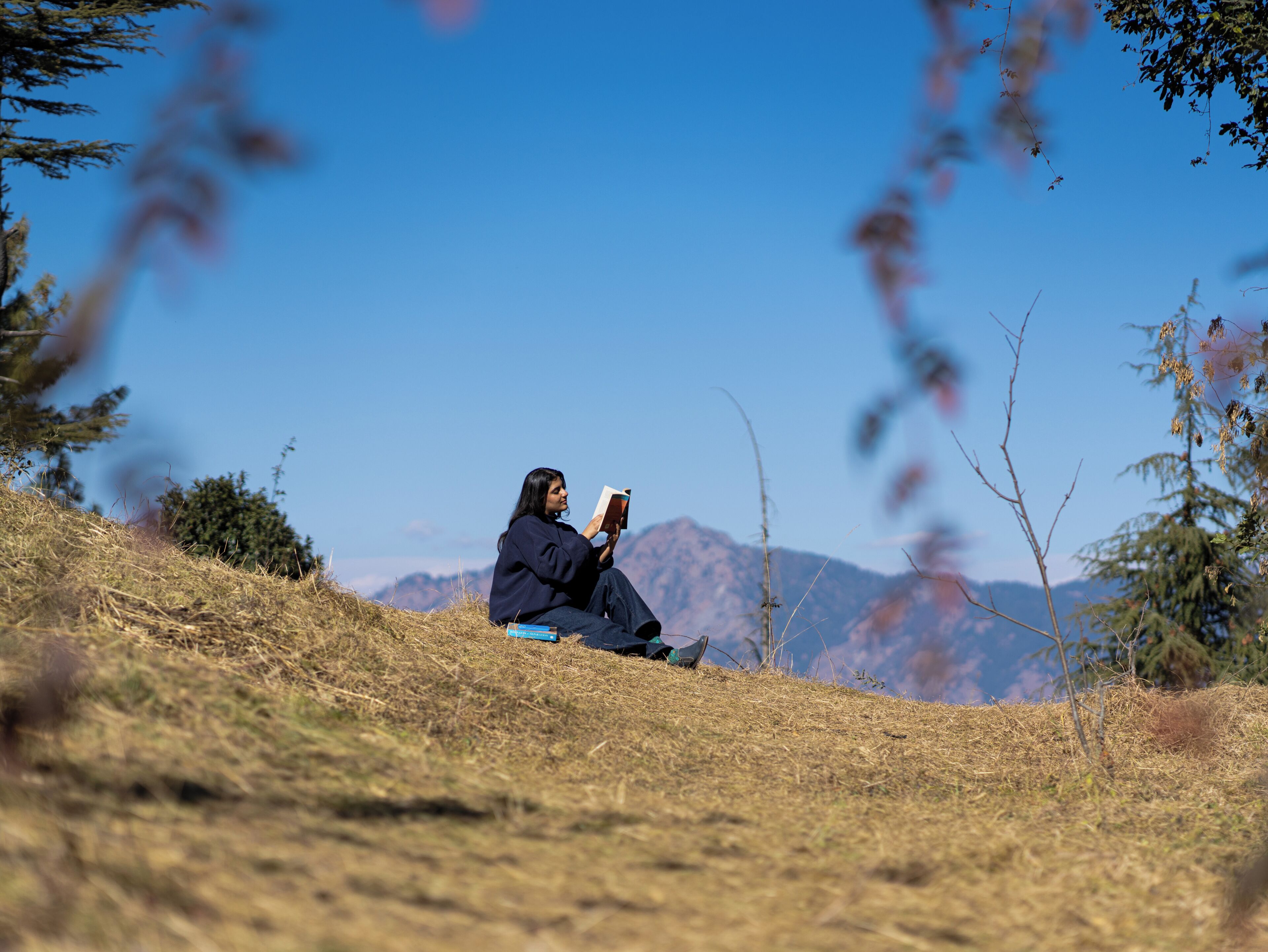 Una persona sentada en una colina cubierta de hierba, con un libro, rodeada de árboles y montañas.