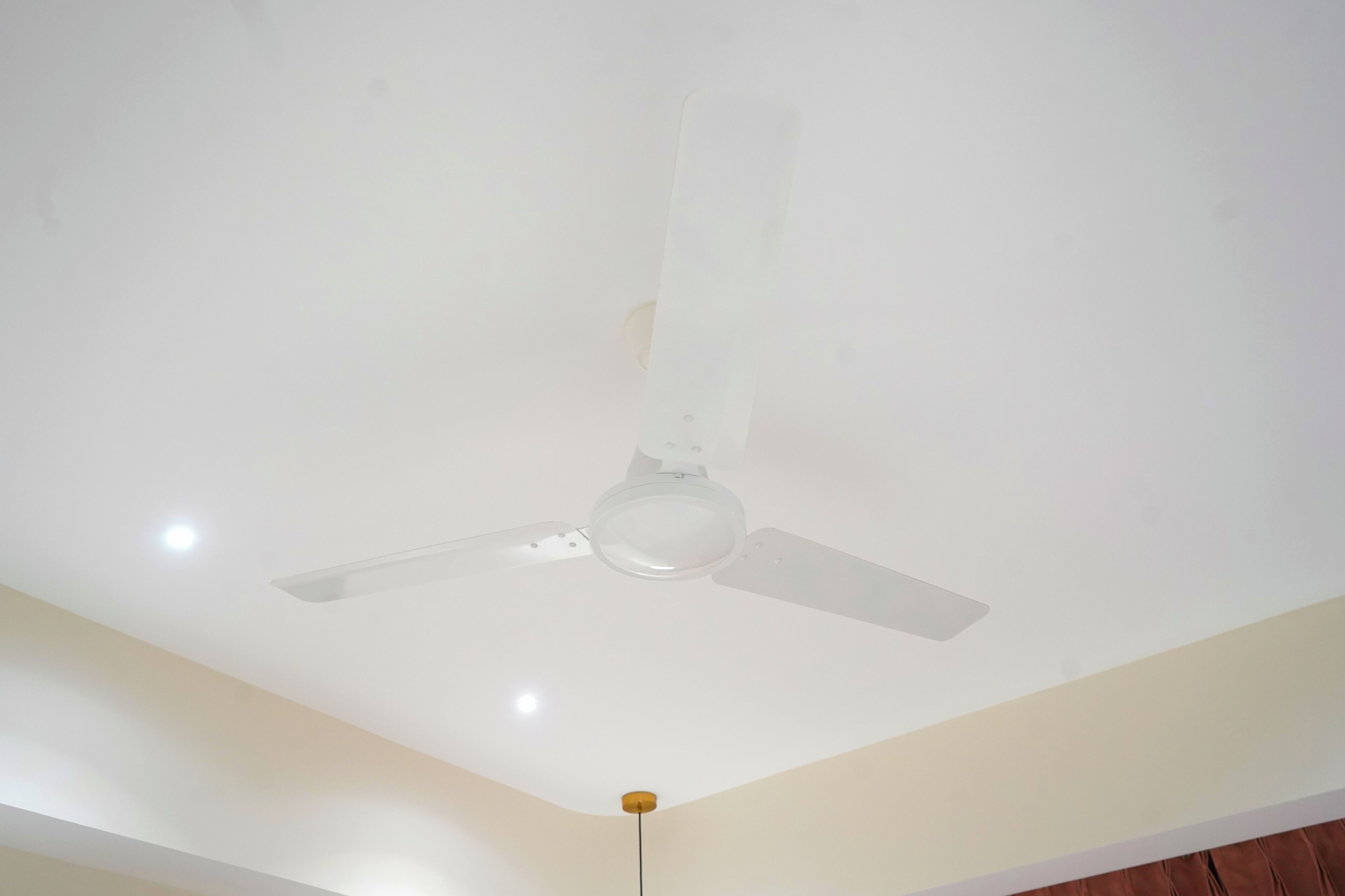 A ceiling fan with a light fixture and a visible ceiling corner.