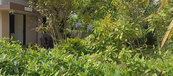 Kodai Blossom Cottages