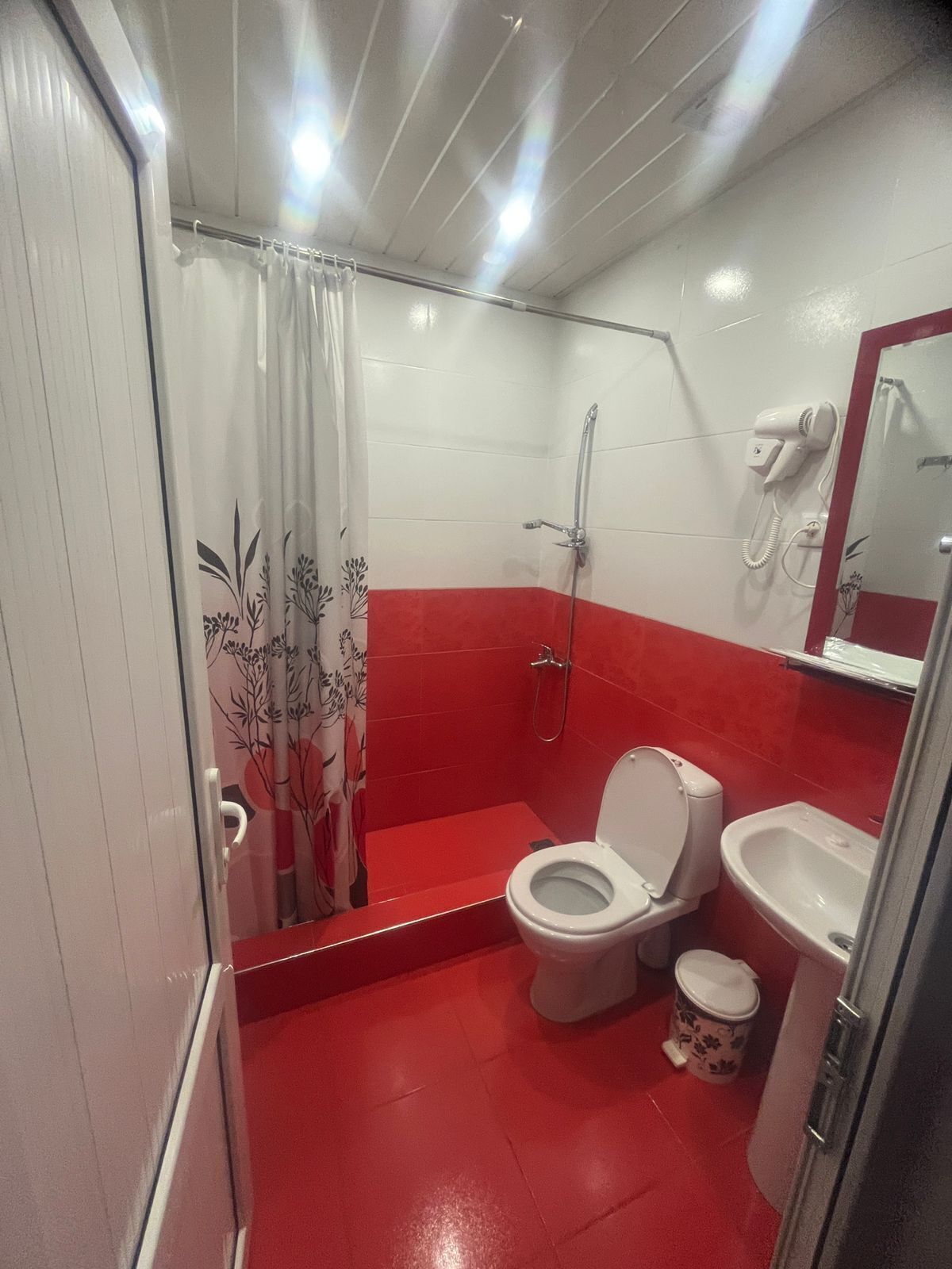 Shower, jetted tub, hair dryer, bidet