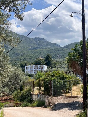 Ein weißes Gebäude mit mehreren Balkonen, umgeben von Grün und Bergen im Hintergrund.
