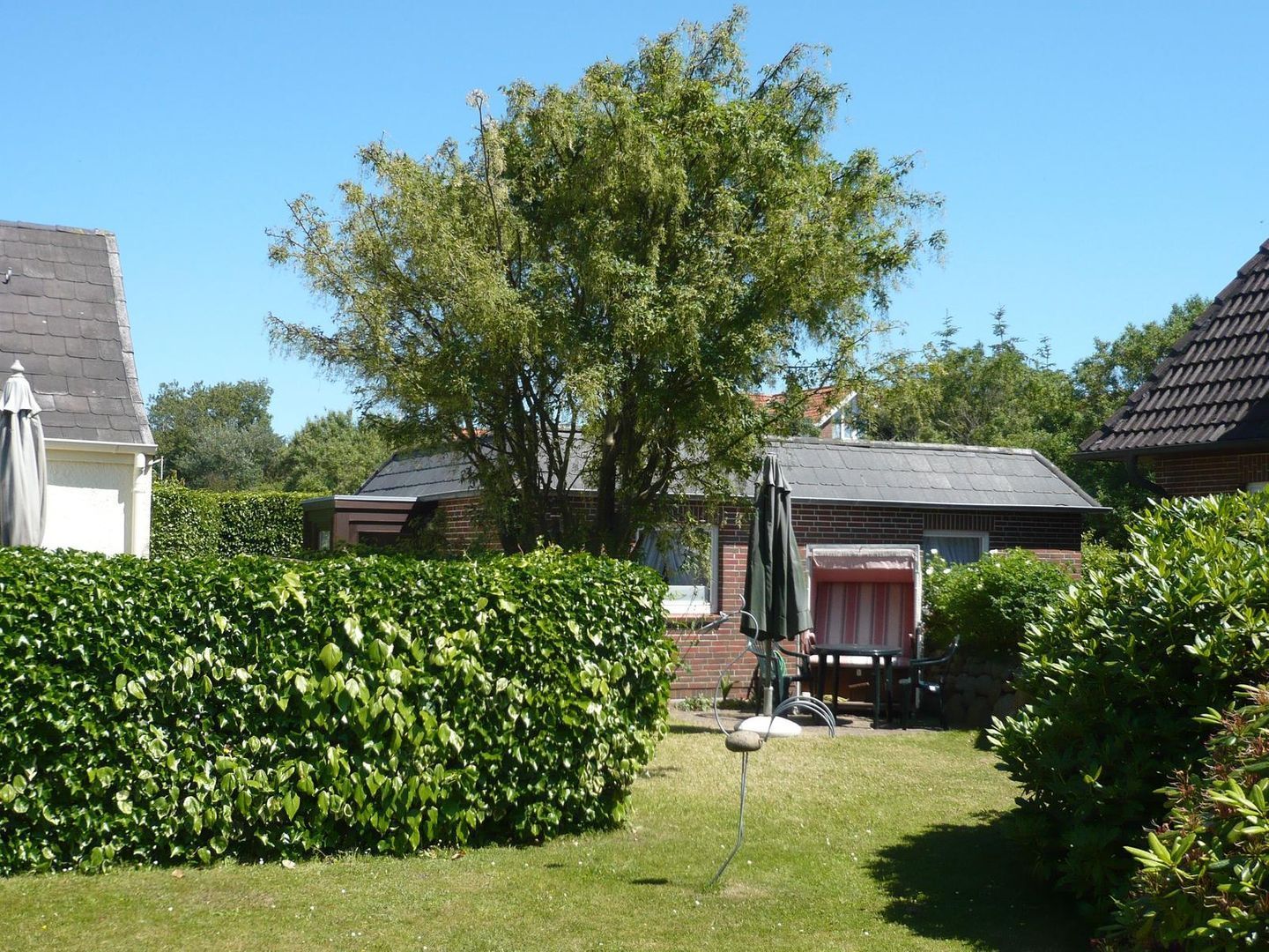 Ein Wohngrundstück mit einem großen Baum, einer Hecke und einem kleinen Schuppen.