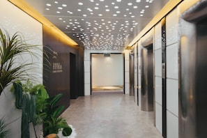 Un pasillo moderno con un techo de luces empotradas, una planta a la izquierda y una pared con una puerta al final.
