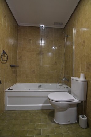 Shower, hair dryer, towels, toilet paper