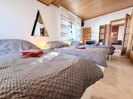 Iron/ironing board, WiFi, bed sheets. sleepWELL-Steinfurt V - Big House & Quiet