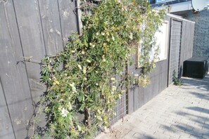 Detalhe da fachada
