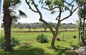 Property grounds - Relaxing villa with smart layout (Križine)