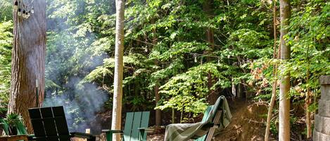 A forested area with outdoor seating, including chairs and a table, and a fire pit.