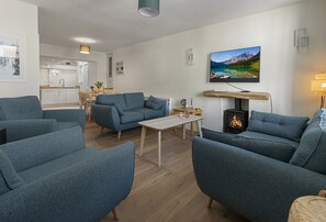 TV, fireplace - Picnic Cottage is a delightful, pet-free holiday home in a picturesque village (Kingswear)