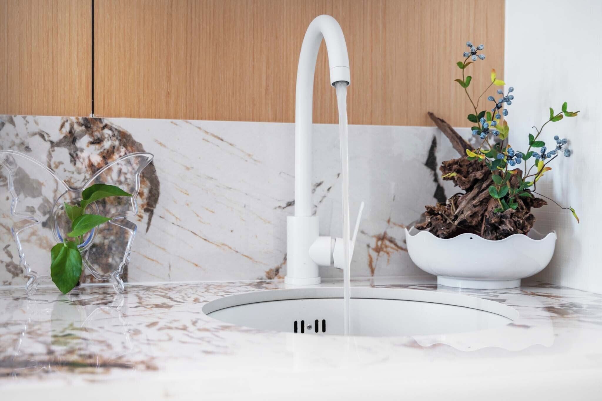 A kitchen sink with a modern faucet, a clear glass vase with a plant, and a decorative bowl with dried branches and flowers.