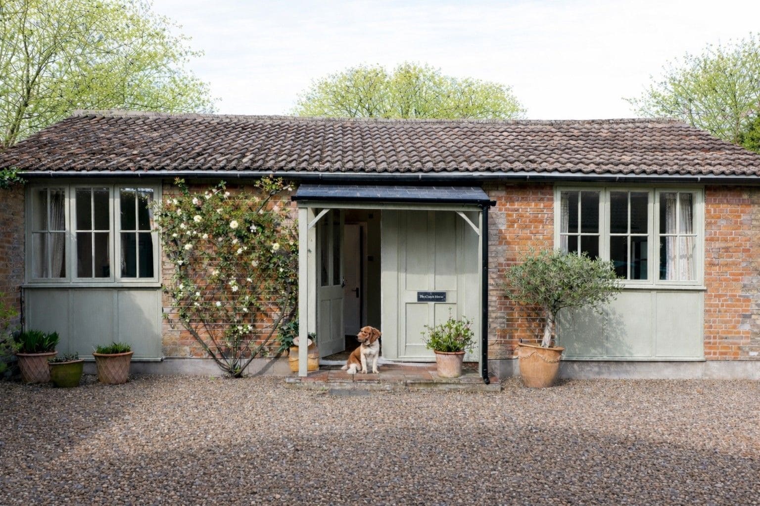 A brick building with a tiled roof, a dog at the entrance, and potted plants around.