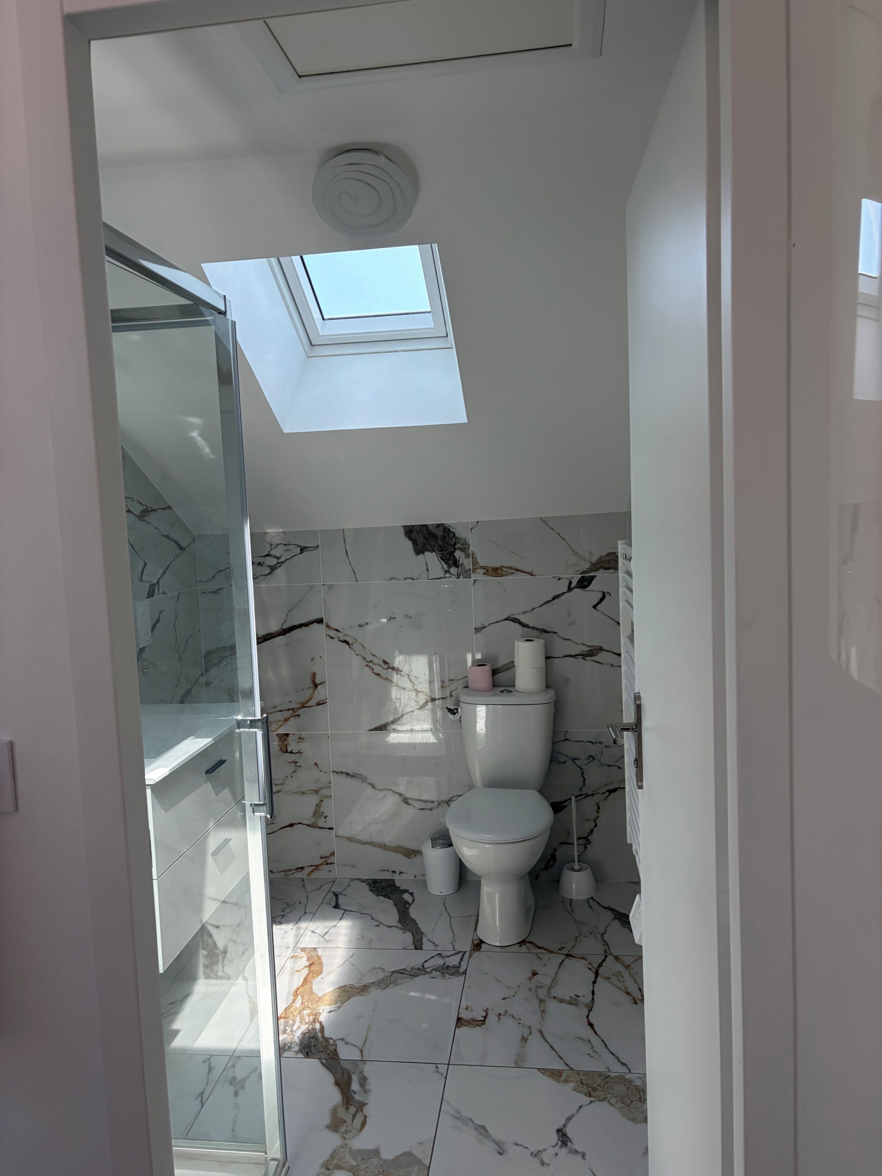 Hair dryer, soap, toilet paper