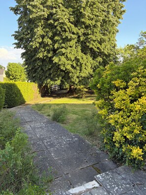 A paved pathway leading to a large tree, surrounded by greenery and a hedge.