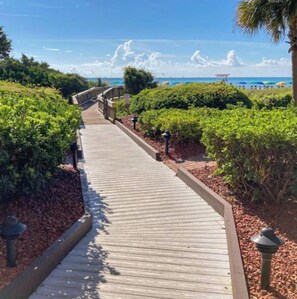 A wooden boardwalk leading to a beach with lush greenery on either side. - Beach Colony Oceanfront w/ Indoor & Outdoor Pools (Myrtle Beach)
