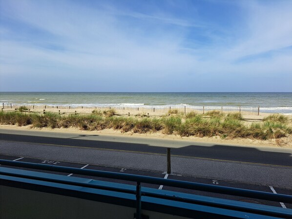 A beach view with a fence, grassy dunes, and a road in the foreground. - Apartment sea view - 4 guests (Fort-Mahon-Plage)