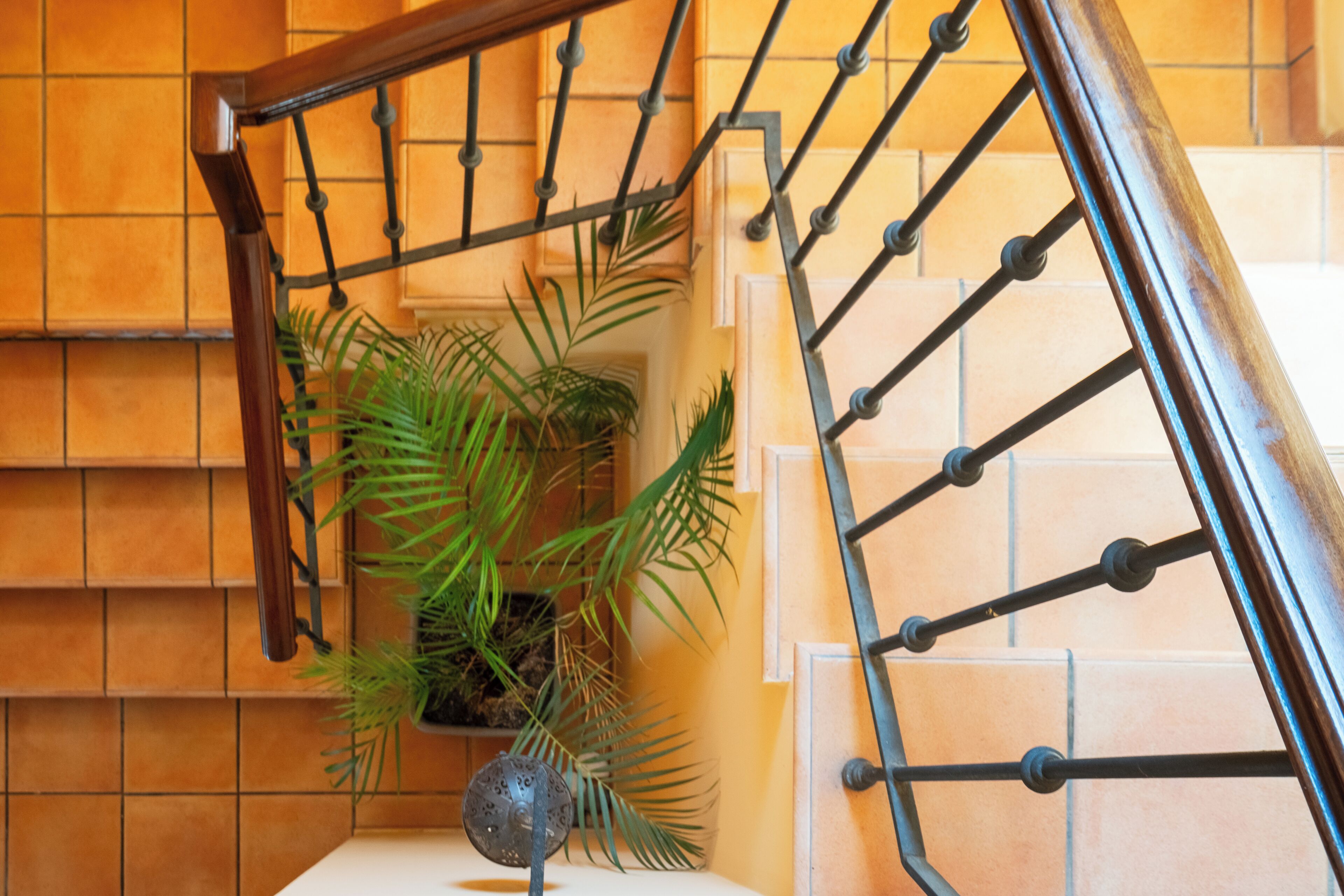 Un escalier avec une rampe en métal et un pot de fleurs.
