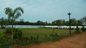 A grassy field with a few trees and a fence in the background.