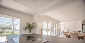 Ein modernes Interieur mit einem großen Esstisch, einer Topfpflanze und Blick ins Freie.