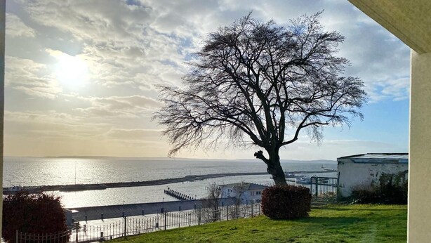 Une vue bordée d’arbres donnant sur le front de mer, avec un quai et un bâtiment au premier plan.